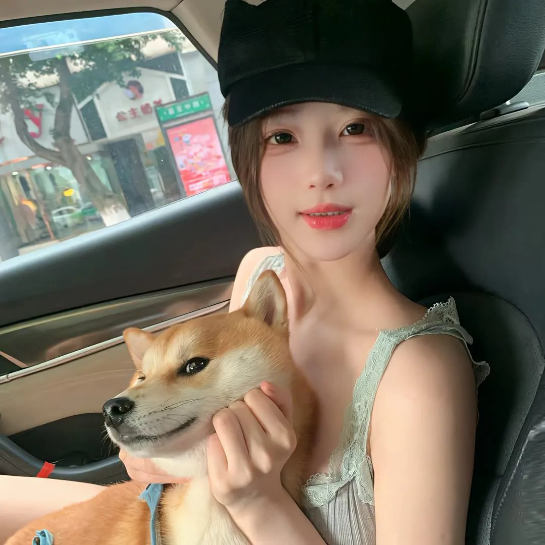 恶犬之下